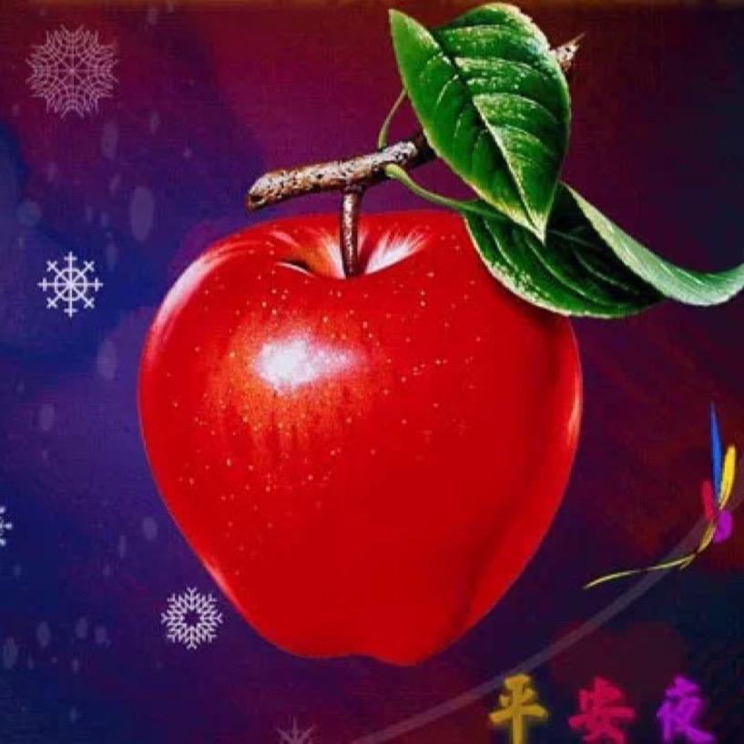 🍒🌸英姐🌸🍒
