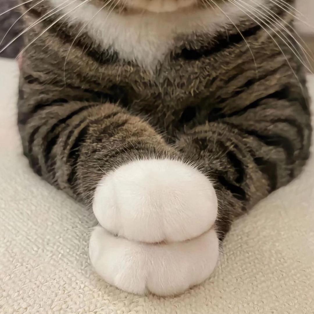 今天的风甚是喧嚣