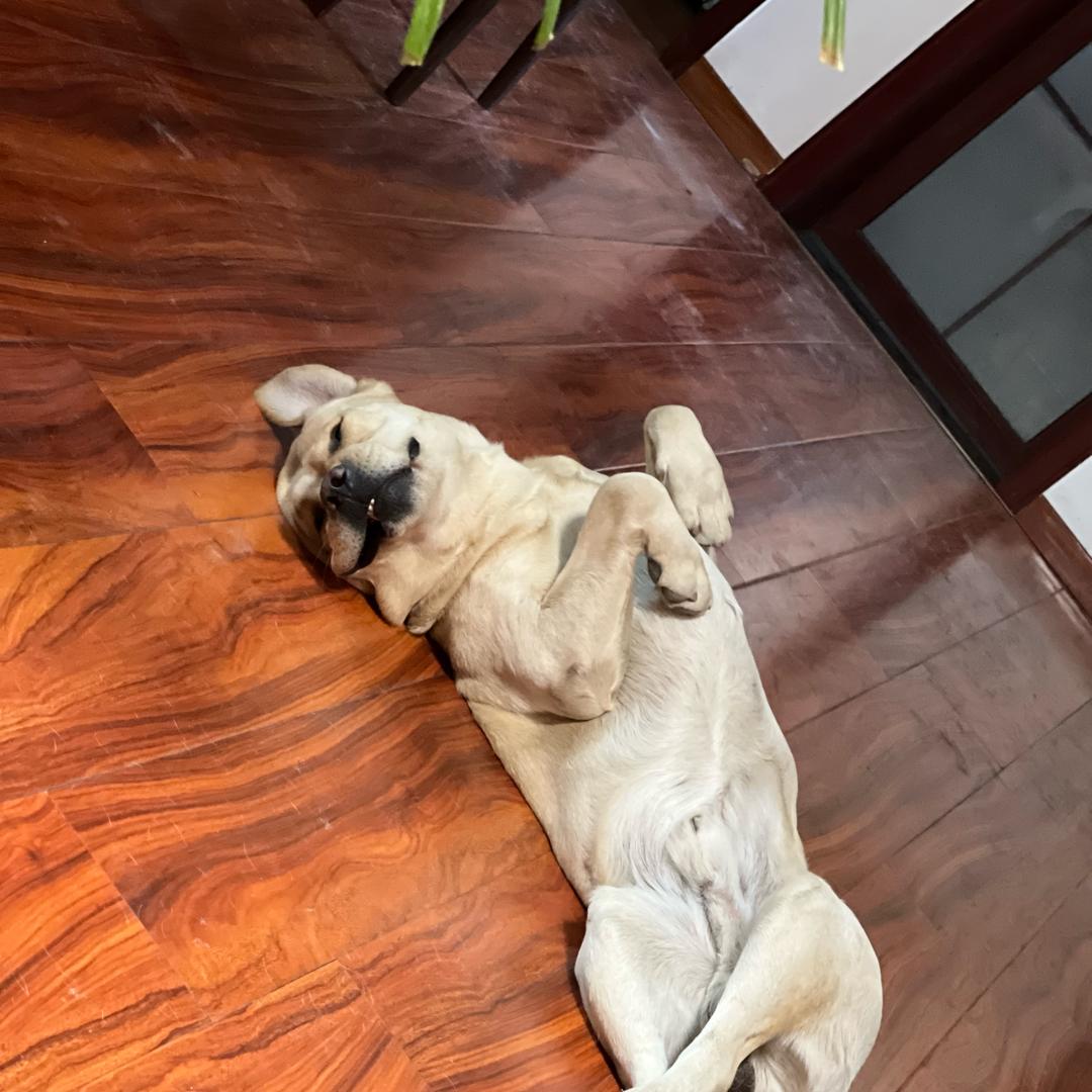 给糖换蛋糕