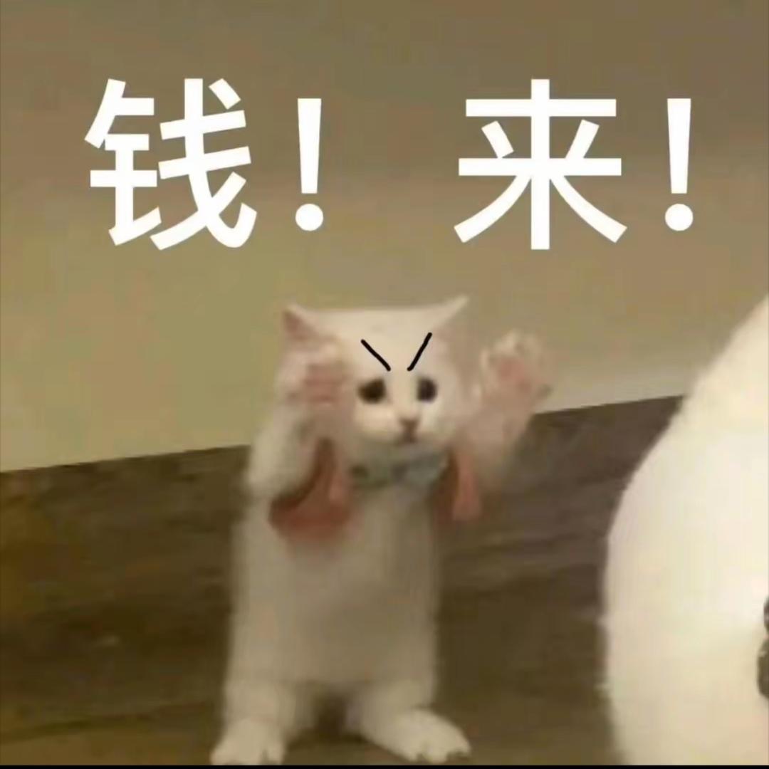 中年美少女壮士