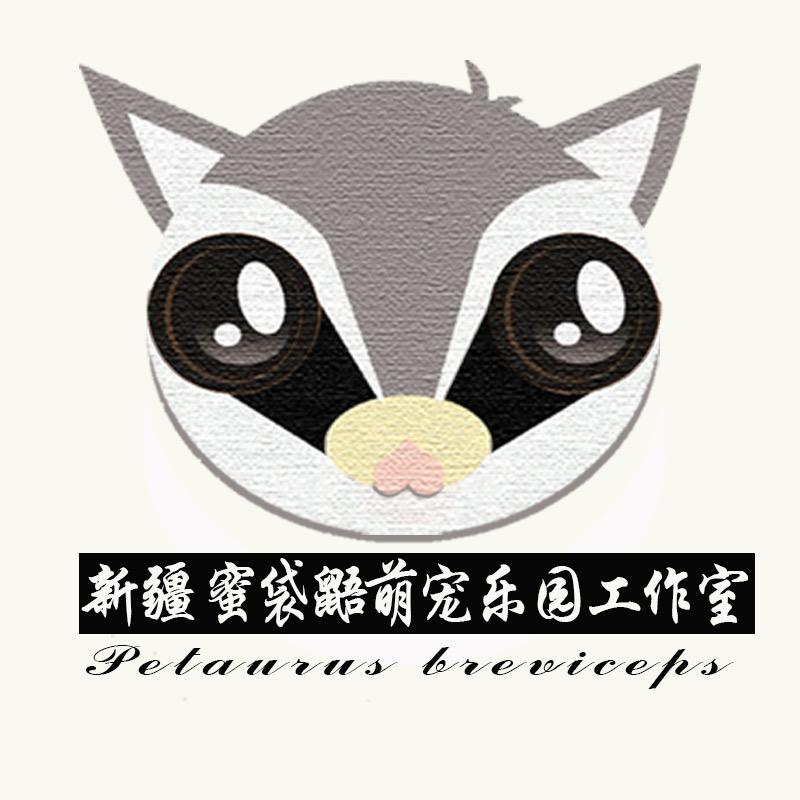 新疆蜜袋鼯繁育萌宠乐园