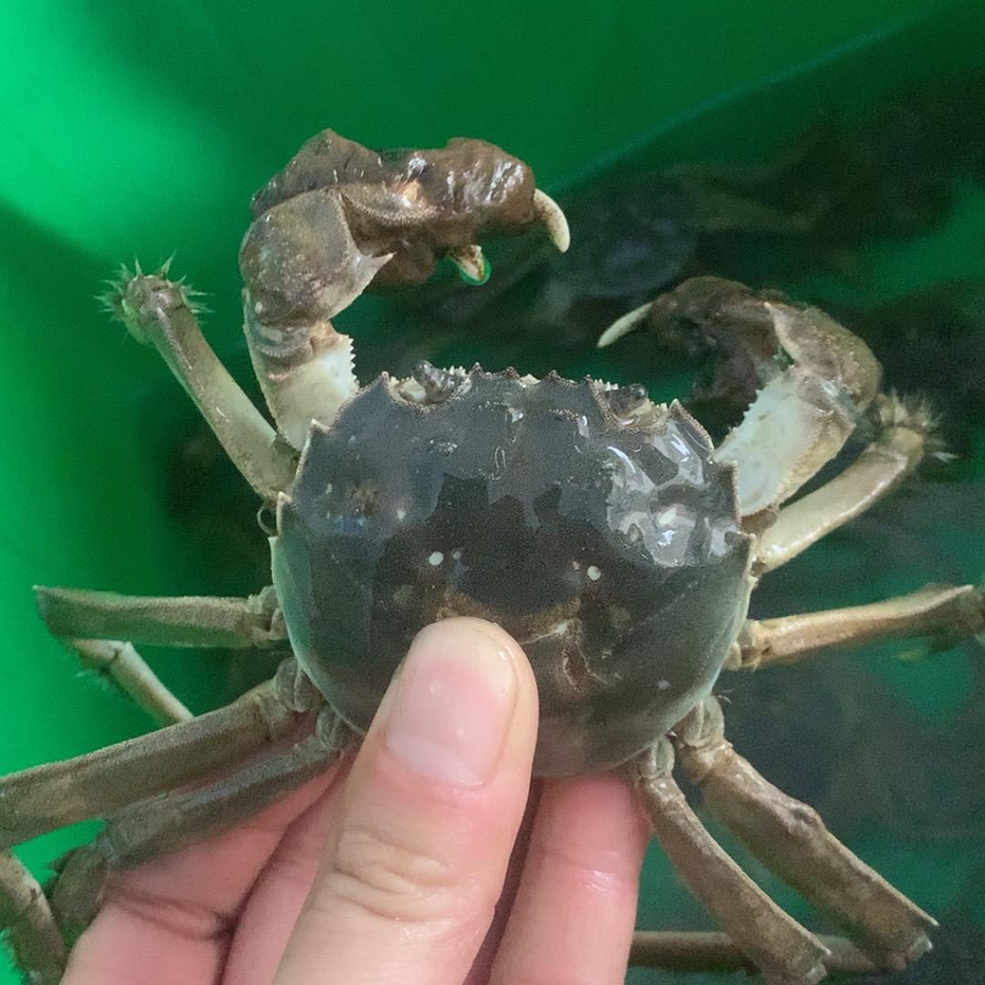 有点海鲜呦