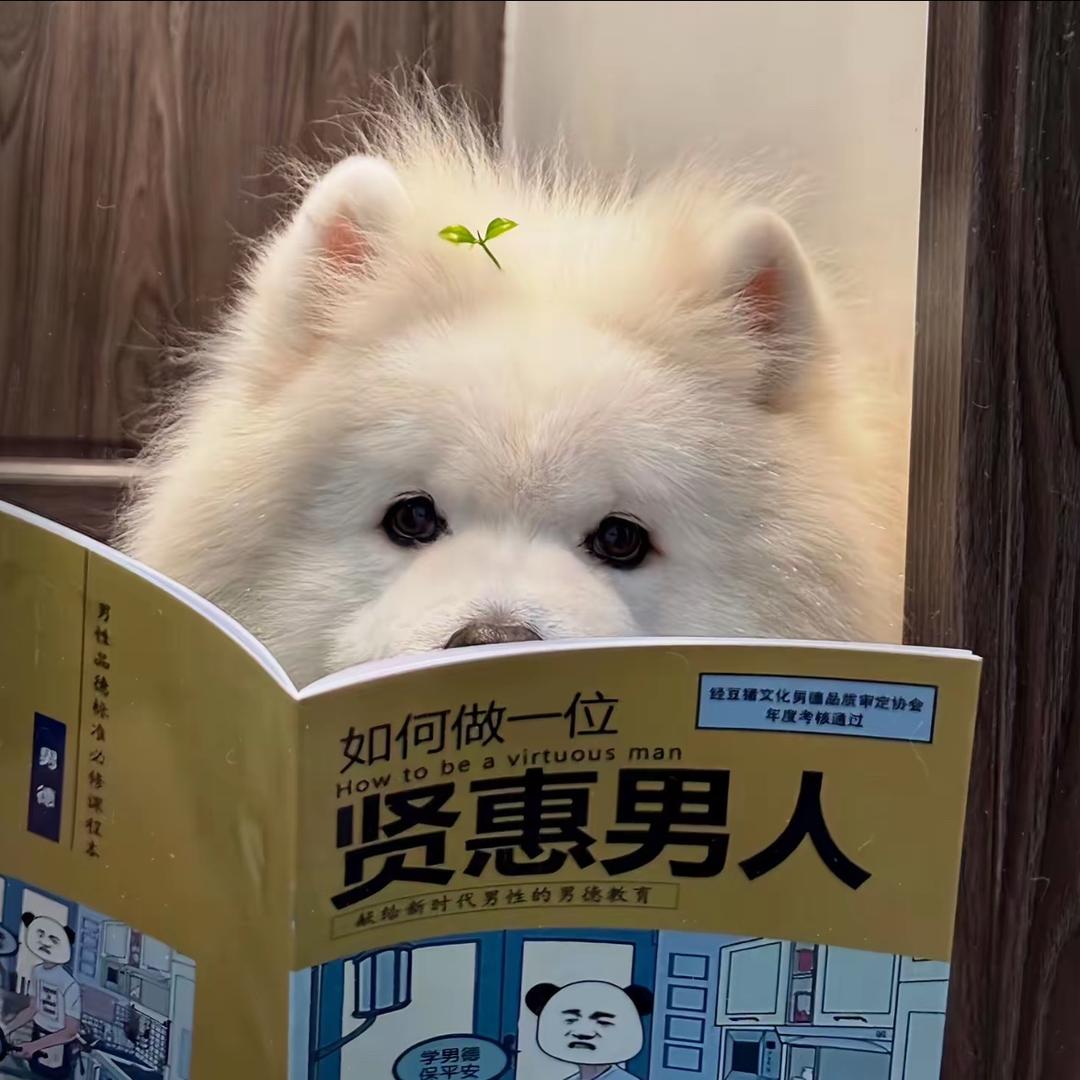 家和万事兴🏠（软装中）