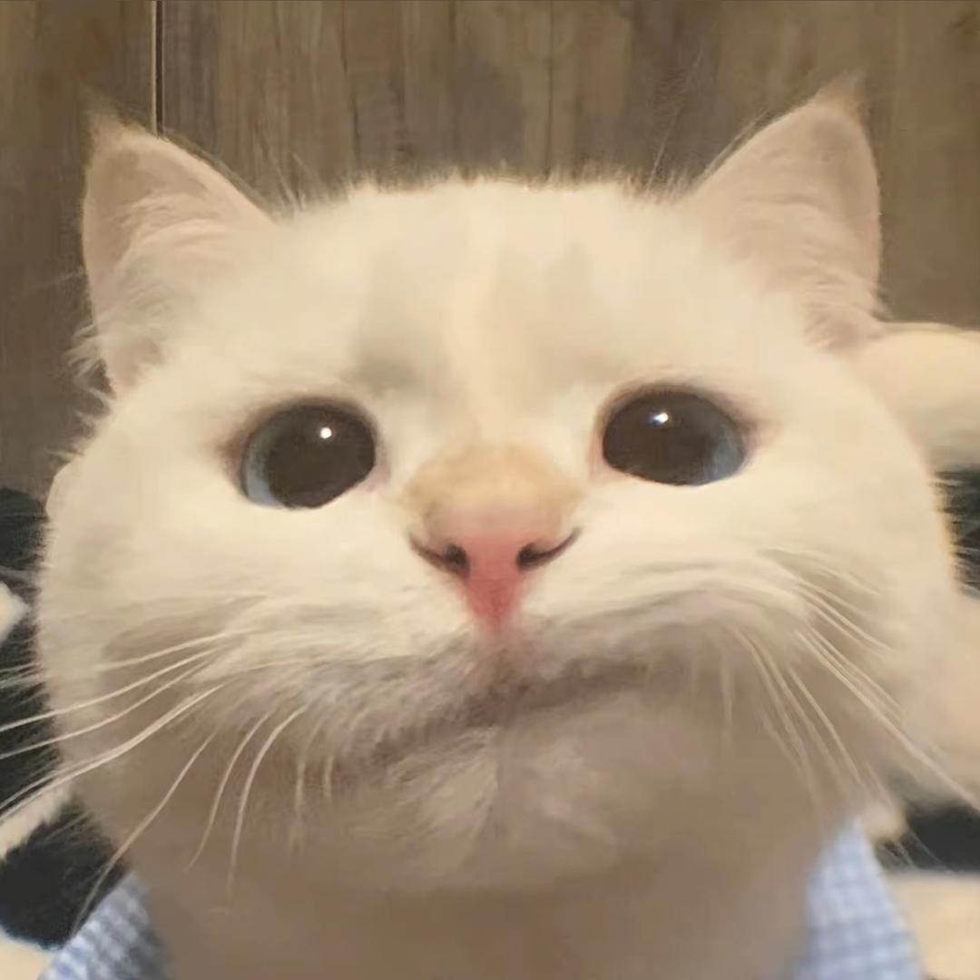 ·ࡇ·