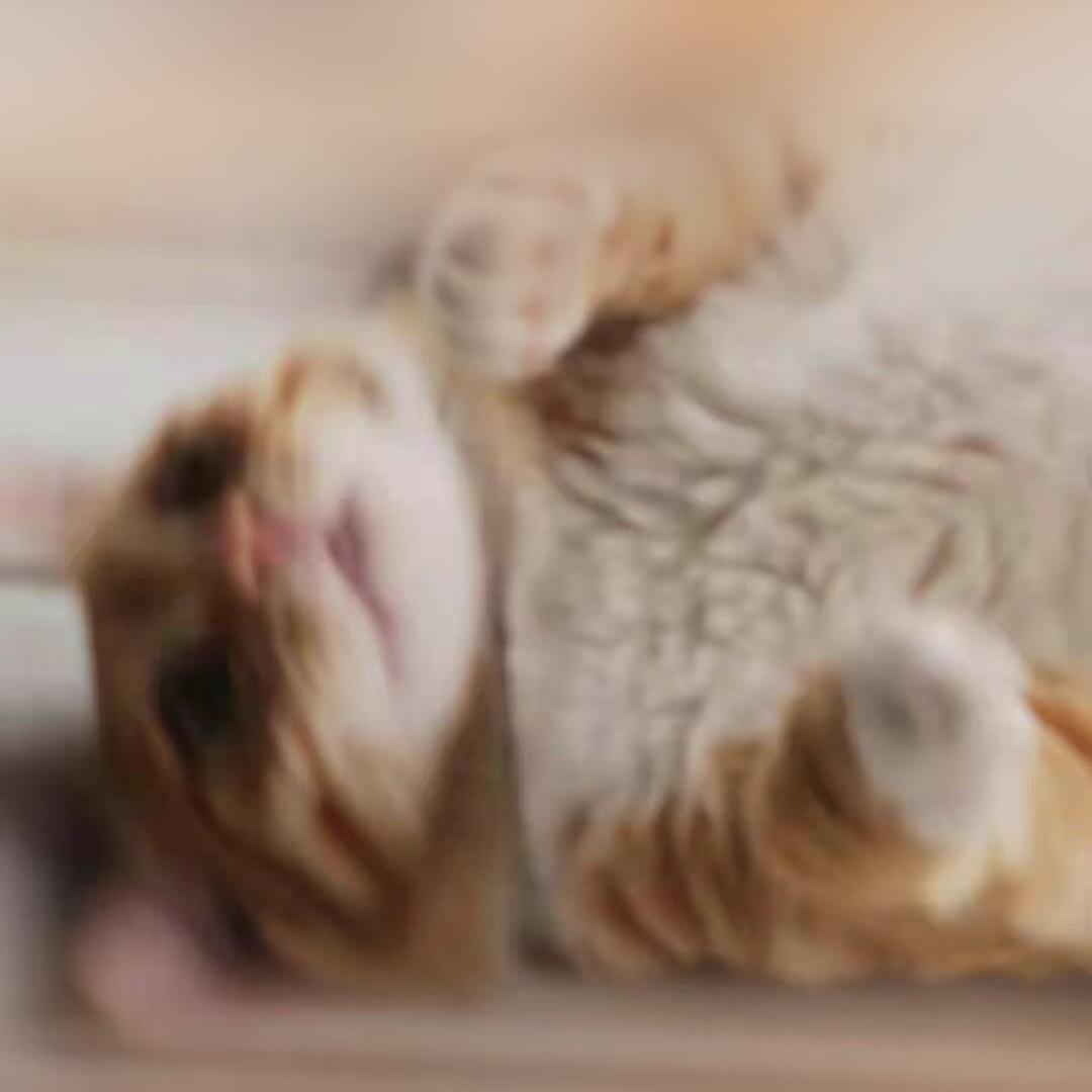 33今天在干嘛？