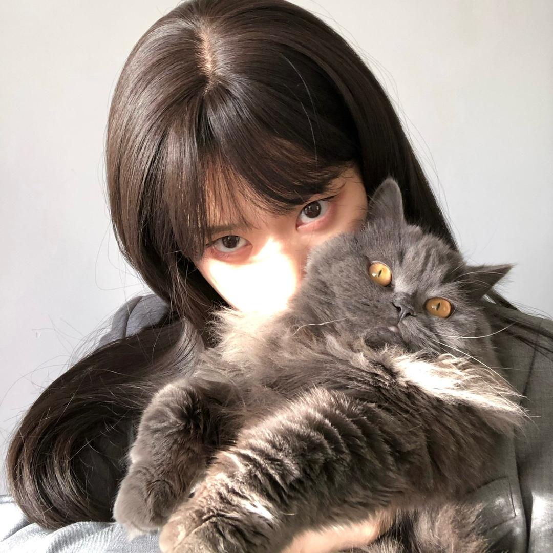 小羊不吃肉