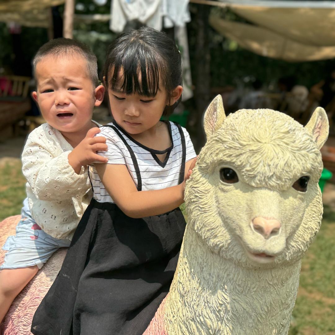 娴娴羲羲和我的日常