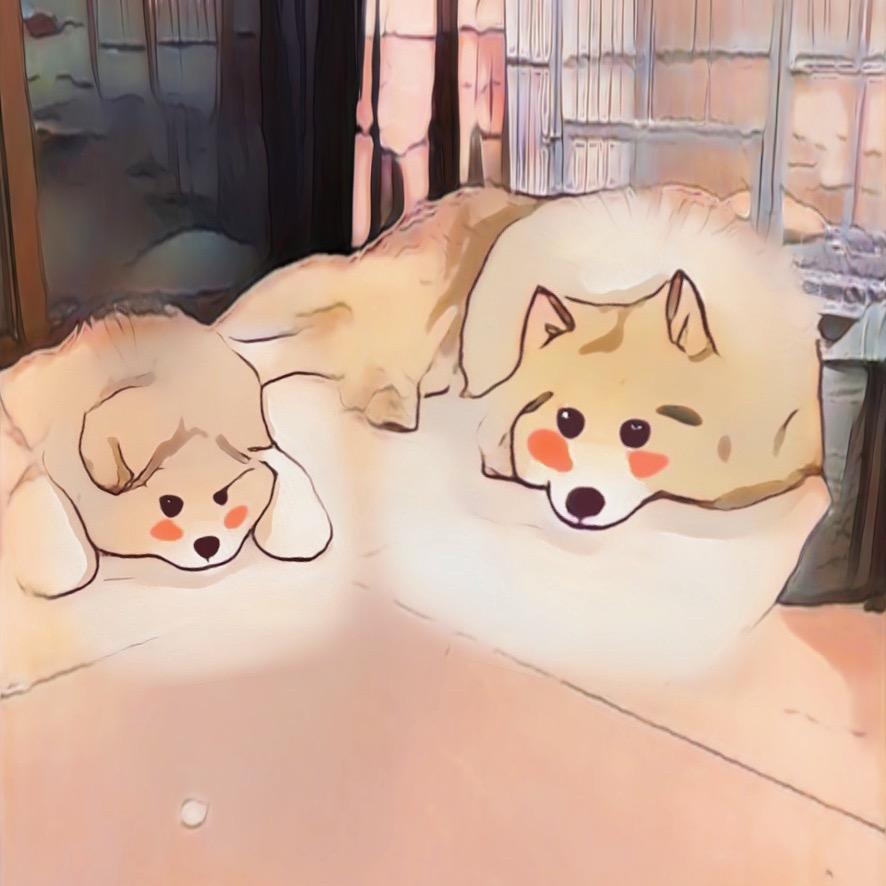 卢卡有团团@抖音