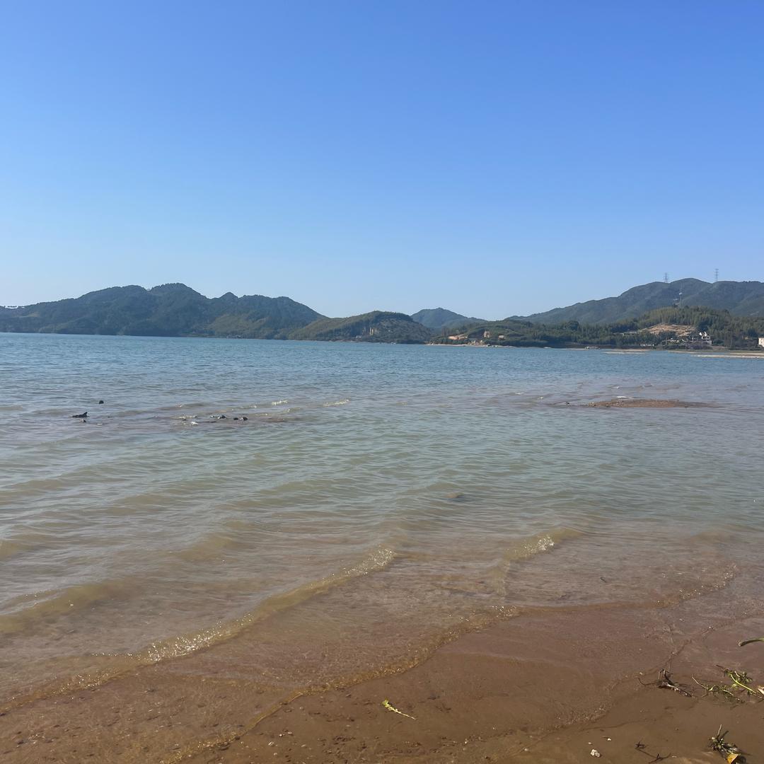 炜小宝