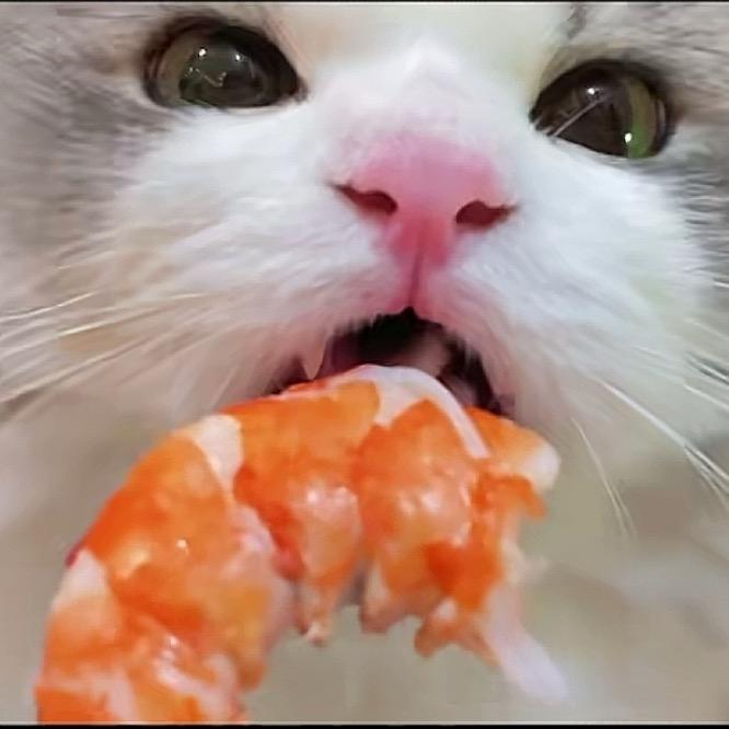 食不食虾