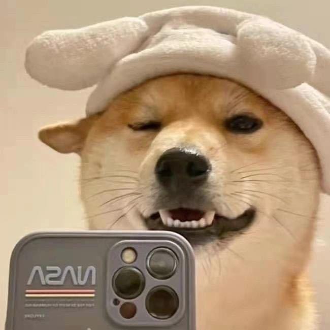 AAA_玉玉不爱吃香菜