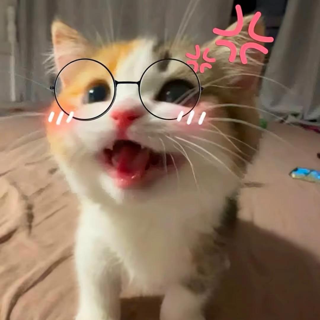王旺碎冰冰