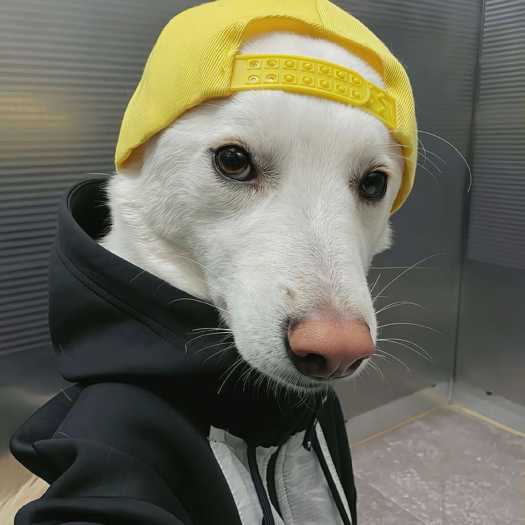 Ace
