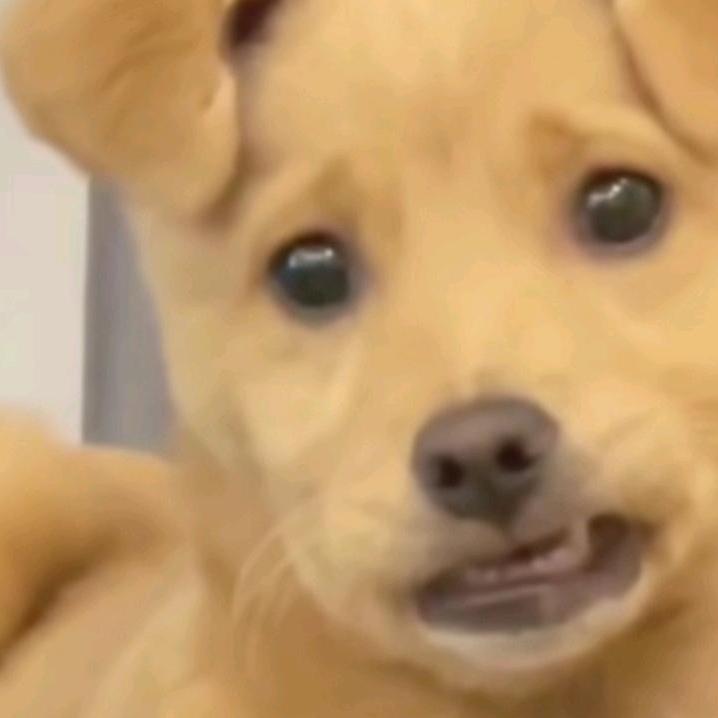 5525