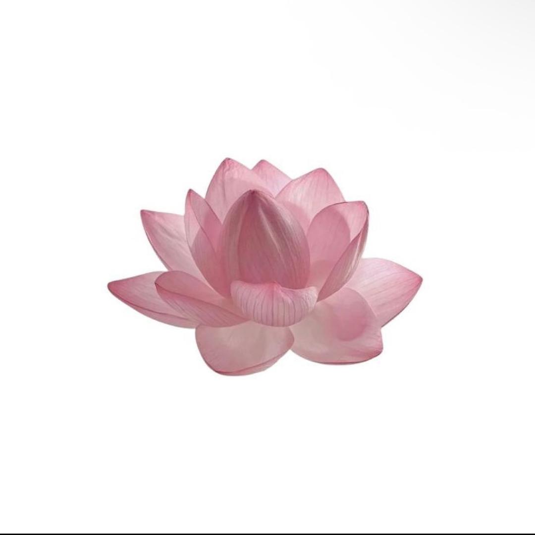 汇子.