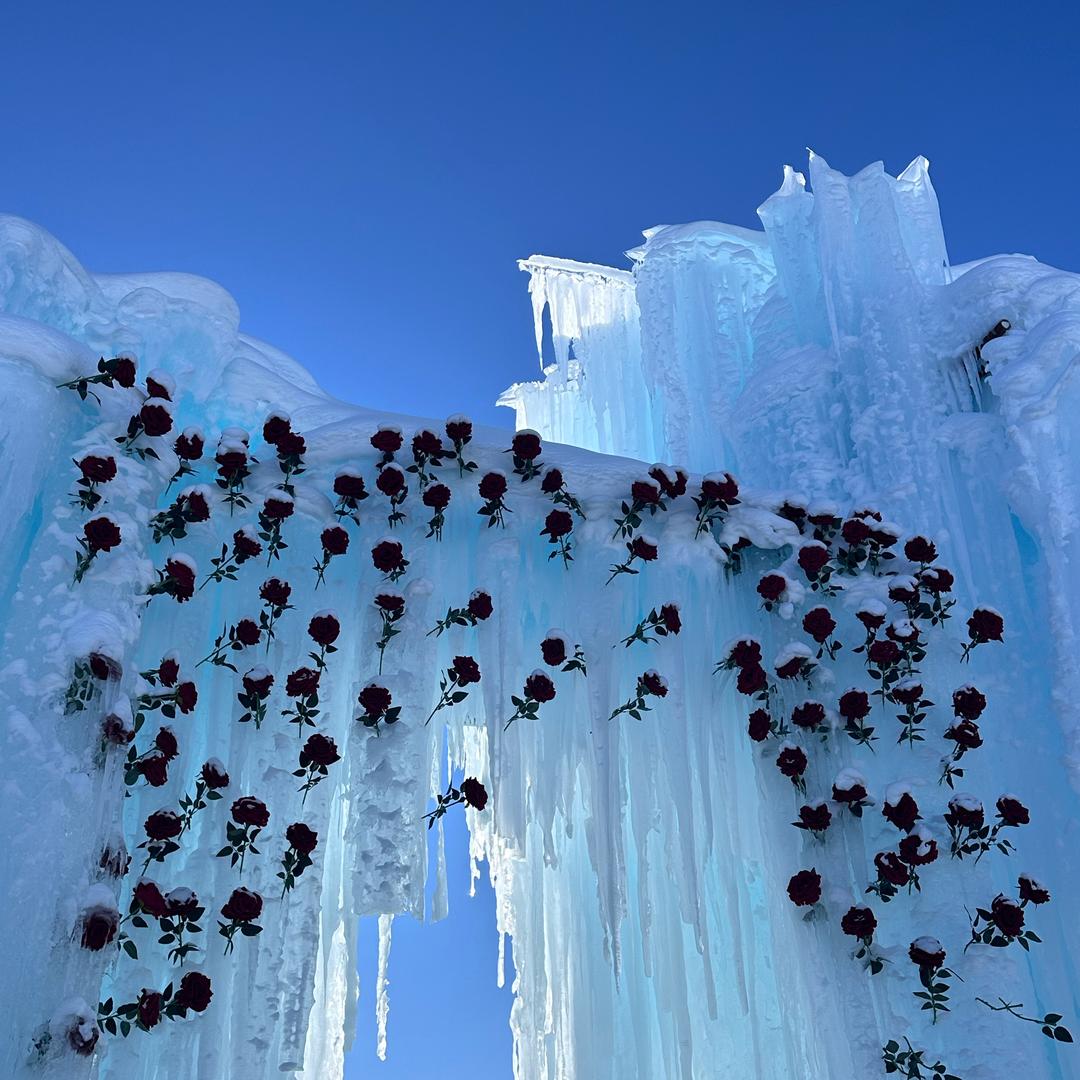 咖啡不懂酒的醉