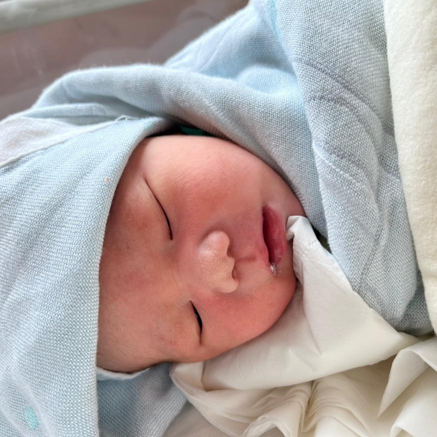 小小珩崽养成记