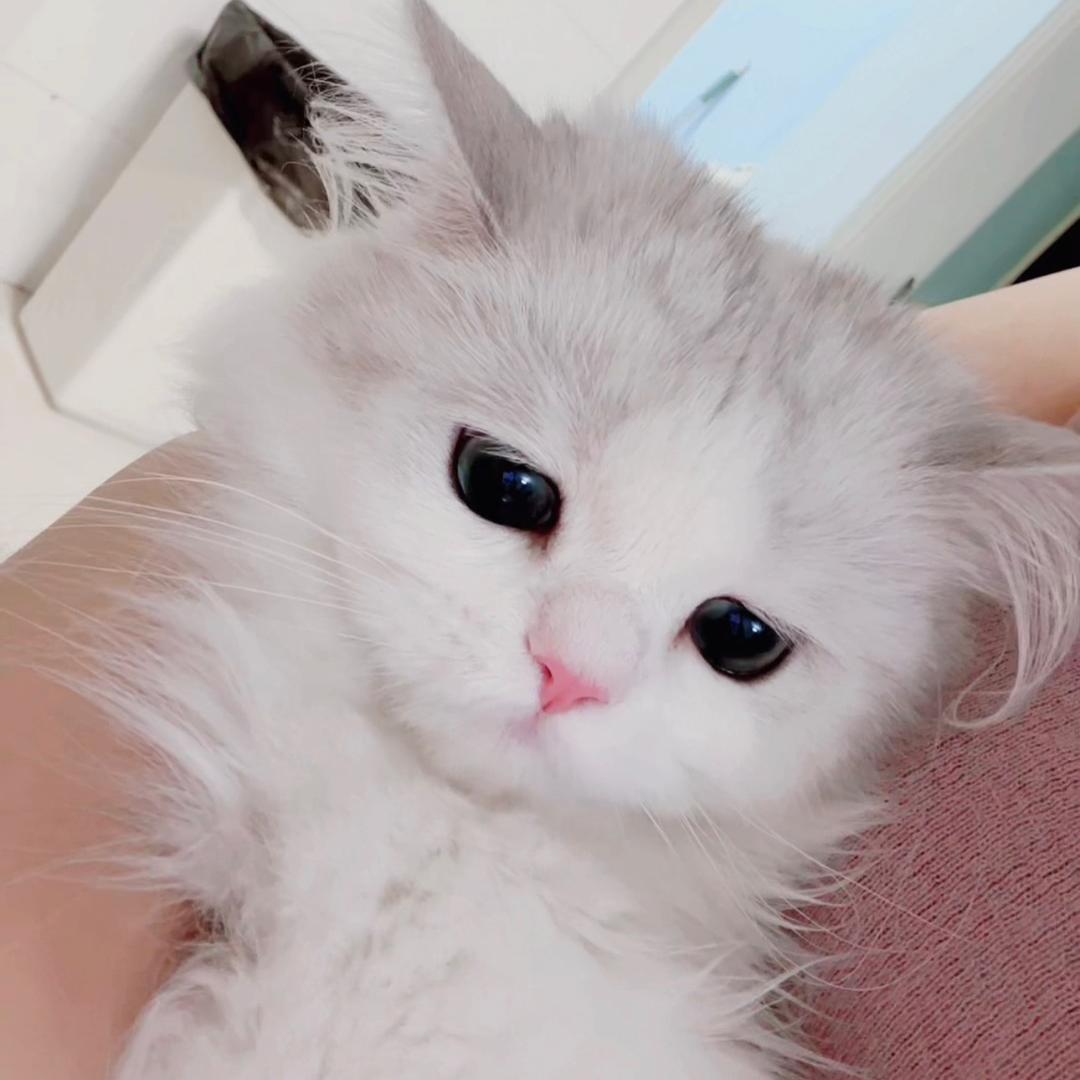 甜三儿