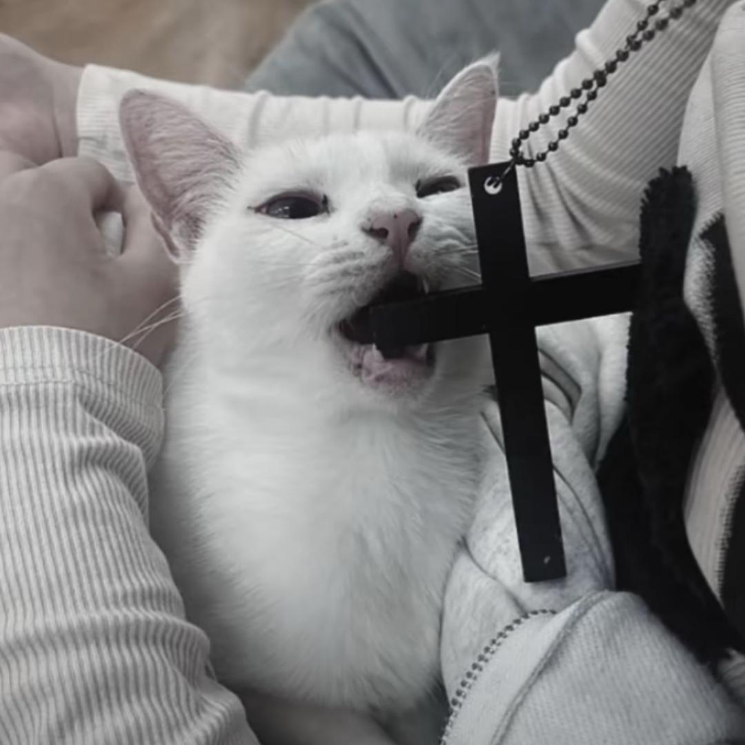 笑不出来