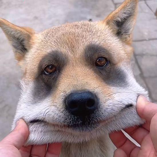 至尊宝