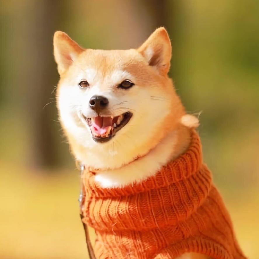 安逸