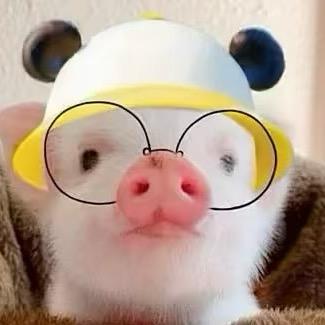 我是当天才的料