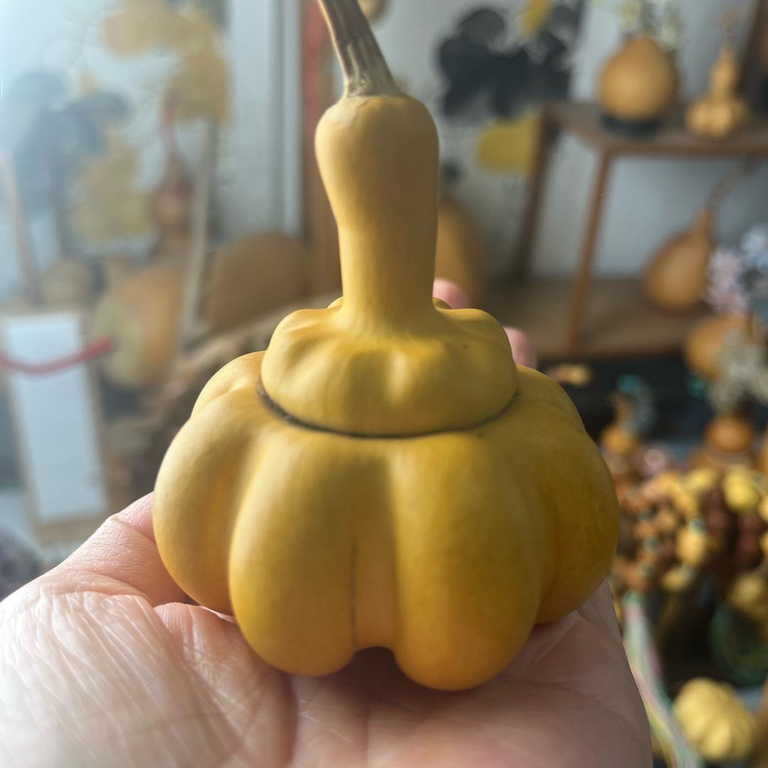 方圆葫芦