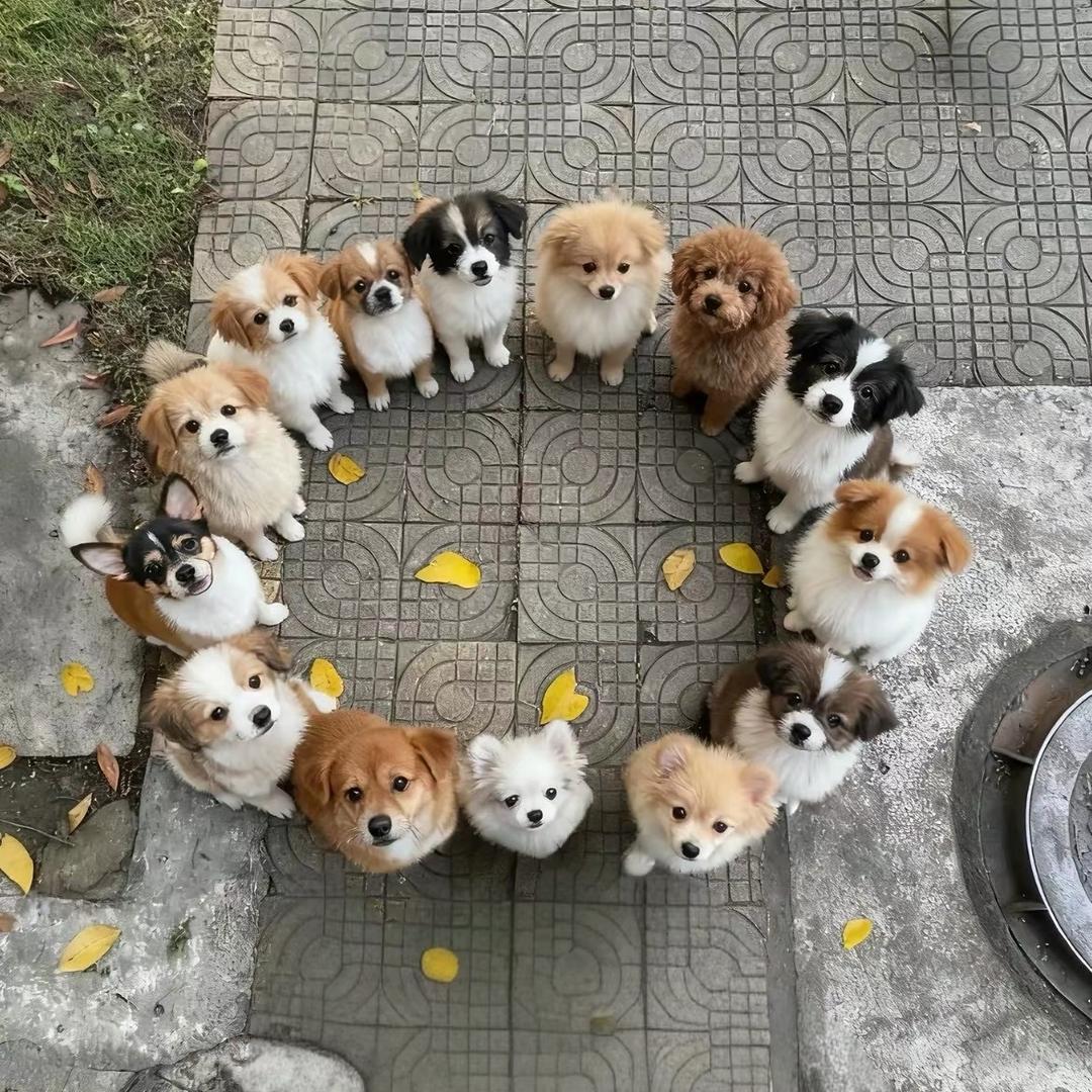 贝贝家的小串串❤️❤️