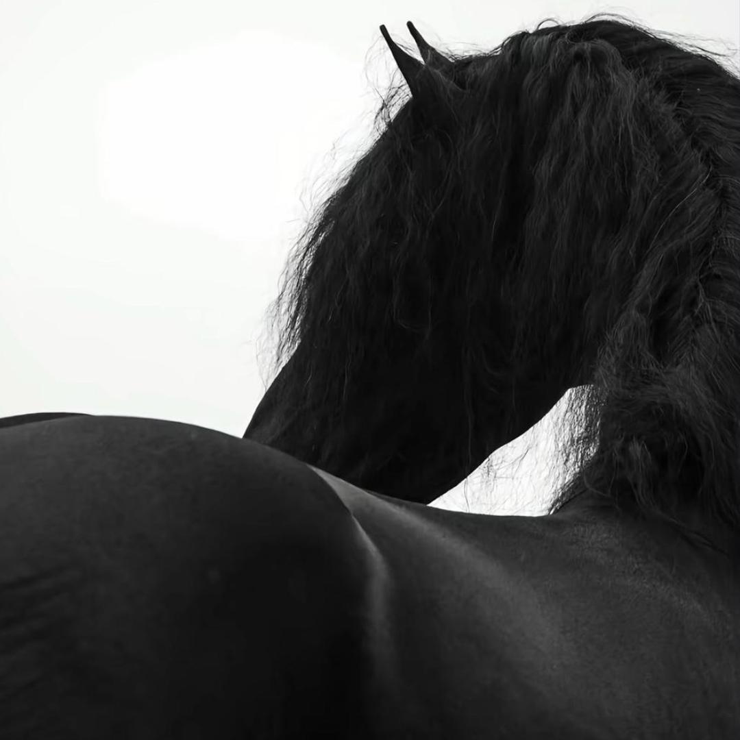 ￴￴￴ ￴ ￴￴ ￴ ￴ ￴