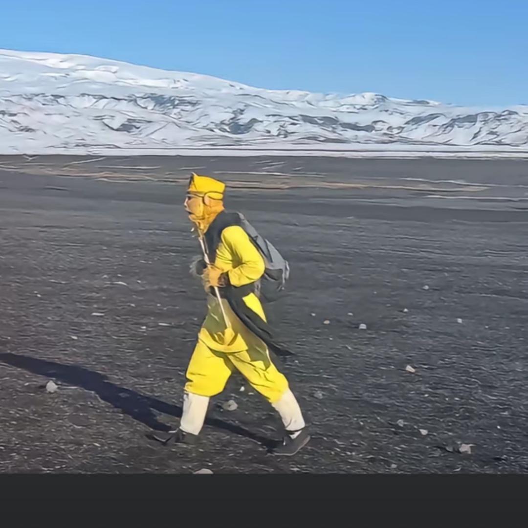辣鱼小弟