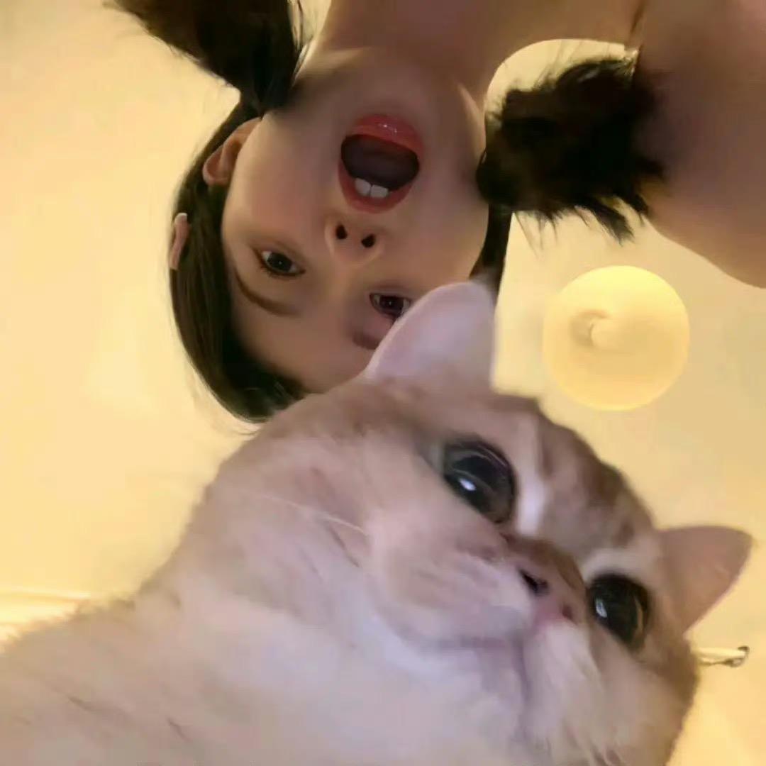 1 1