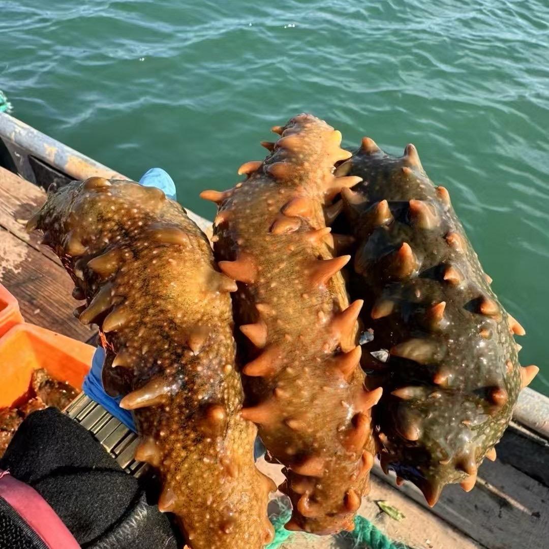 小虾源头海鲜（石岛）