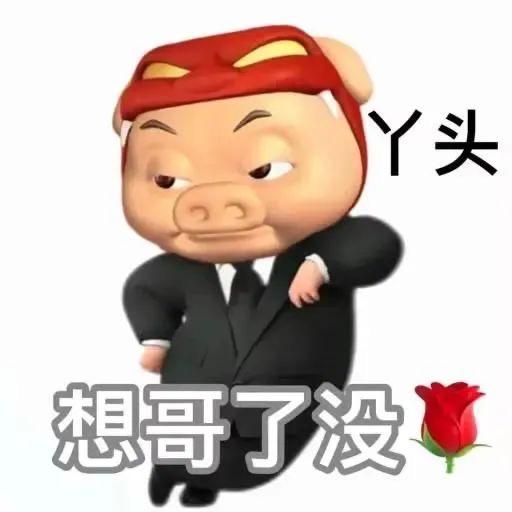 快乐小肥宅😋