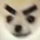 泼泼