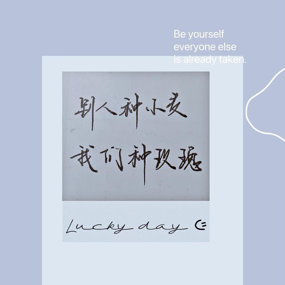 五糖和糖淳头像