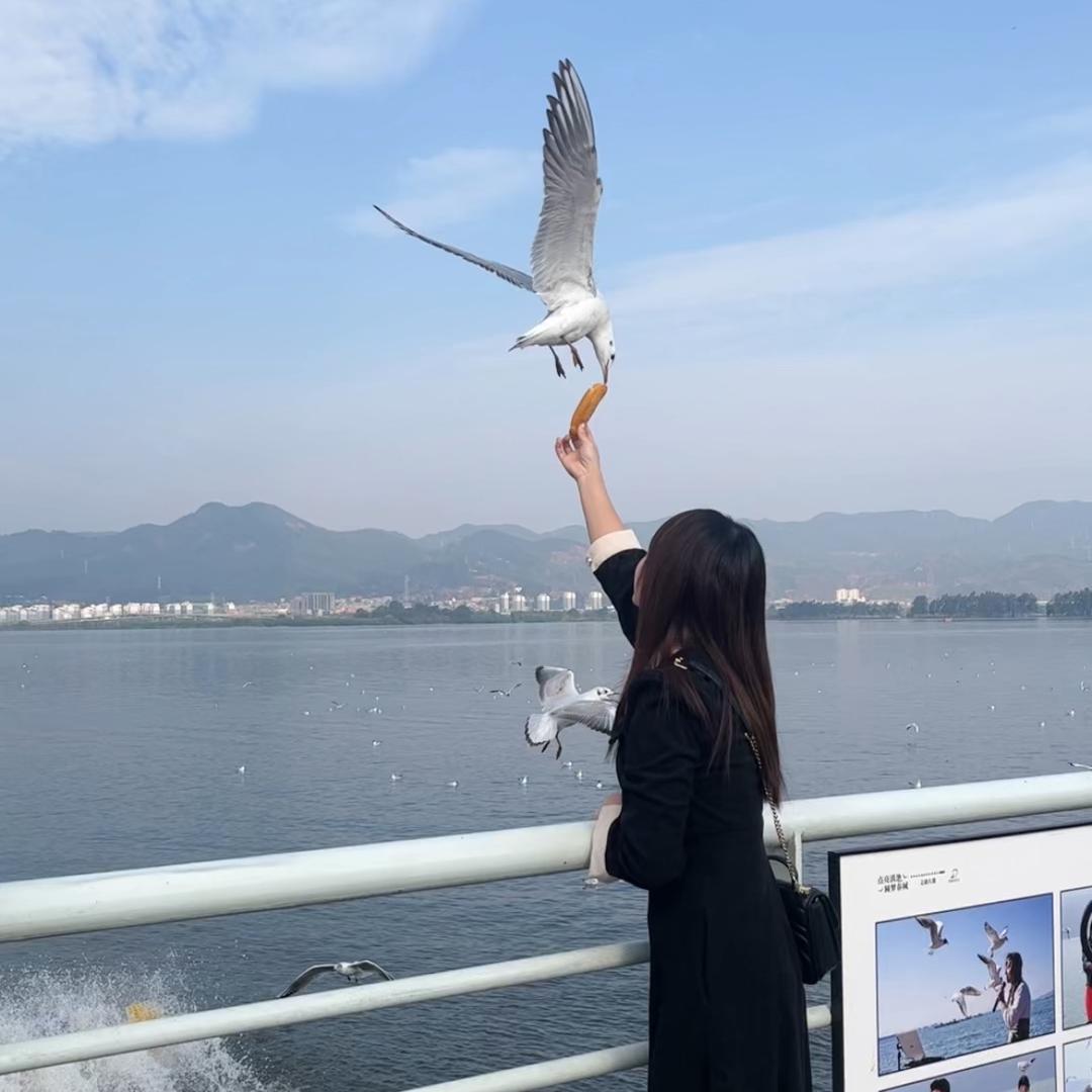 算了