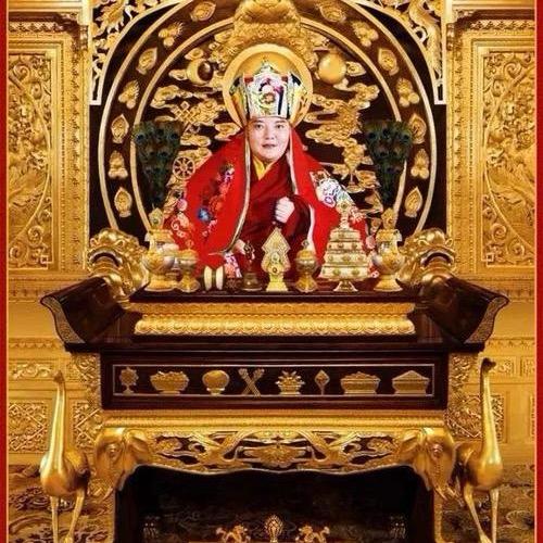 笑对🌿人生🎶