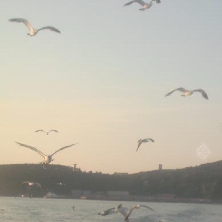 海.