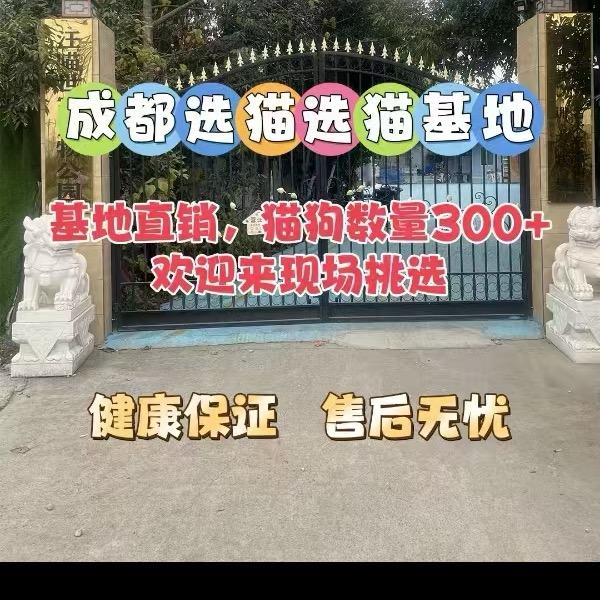 汪喵世家高端宠物