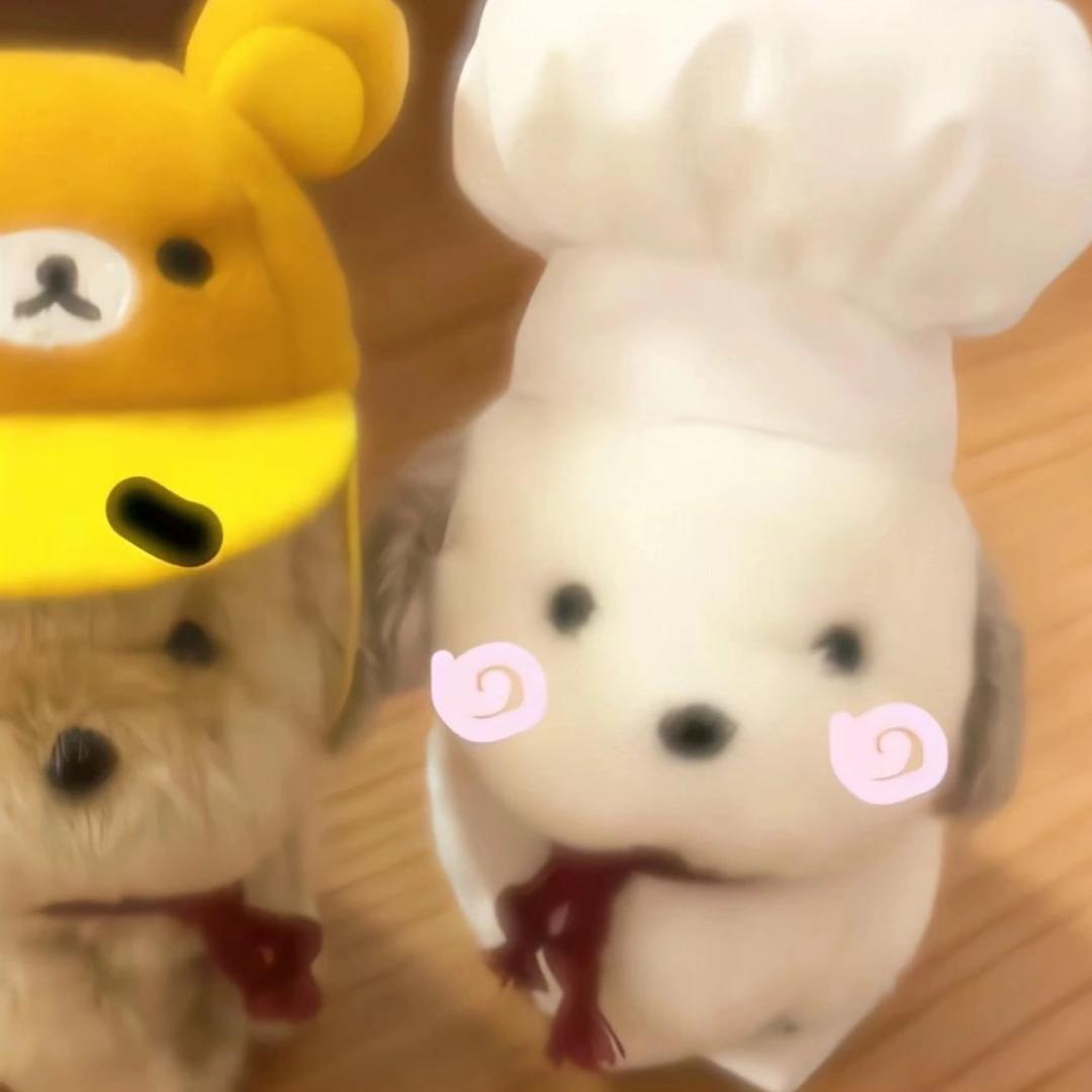 小美⁽⁽٩( ´͈ ᗨ `͈ )۶⁾⁾