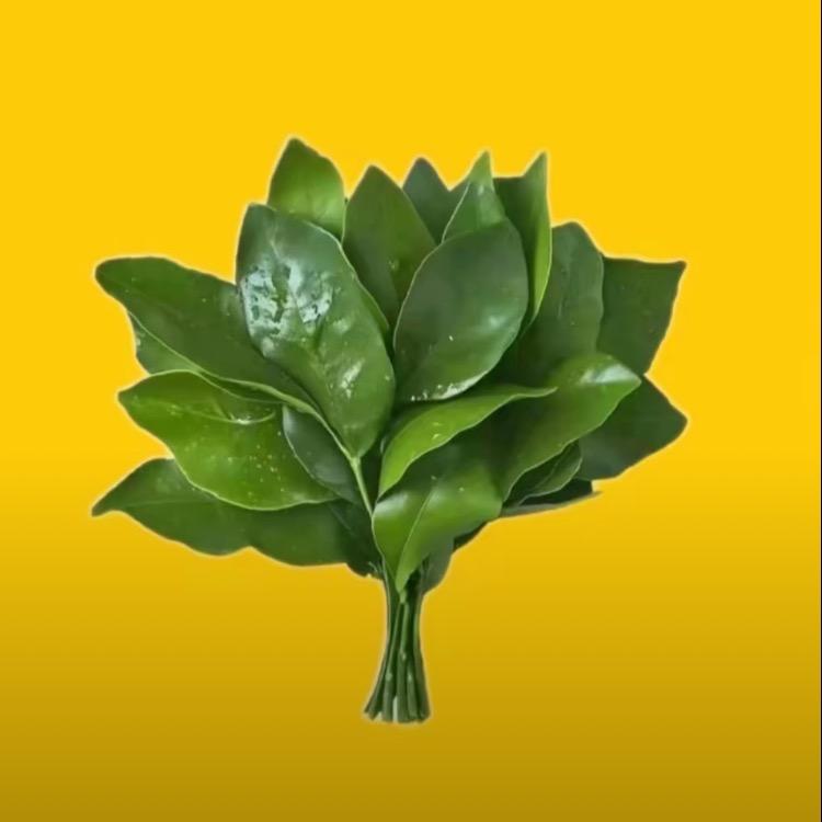 玖玖^_^