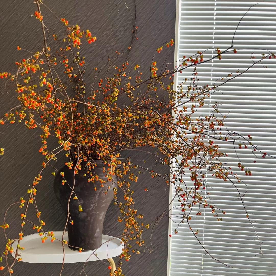 Flora