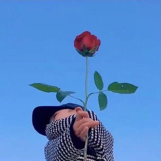 梦幻西游蛤蟆