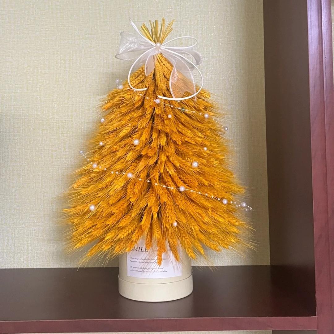 锦鲤小富婆