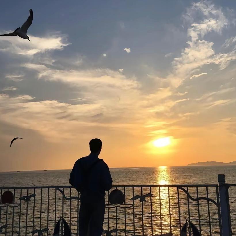 山坡上的拖拉机🚜🚜