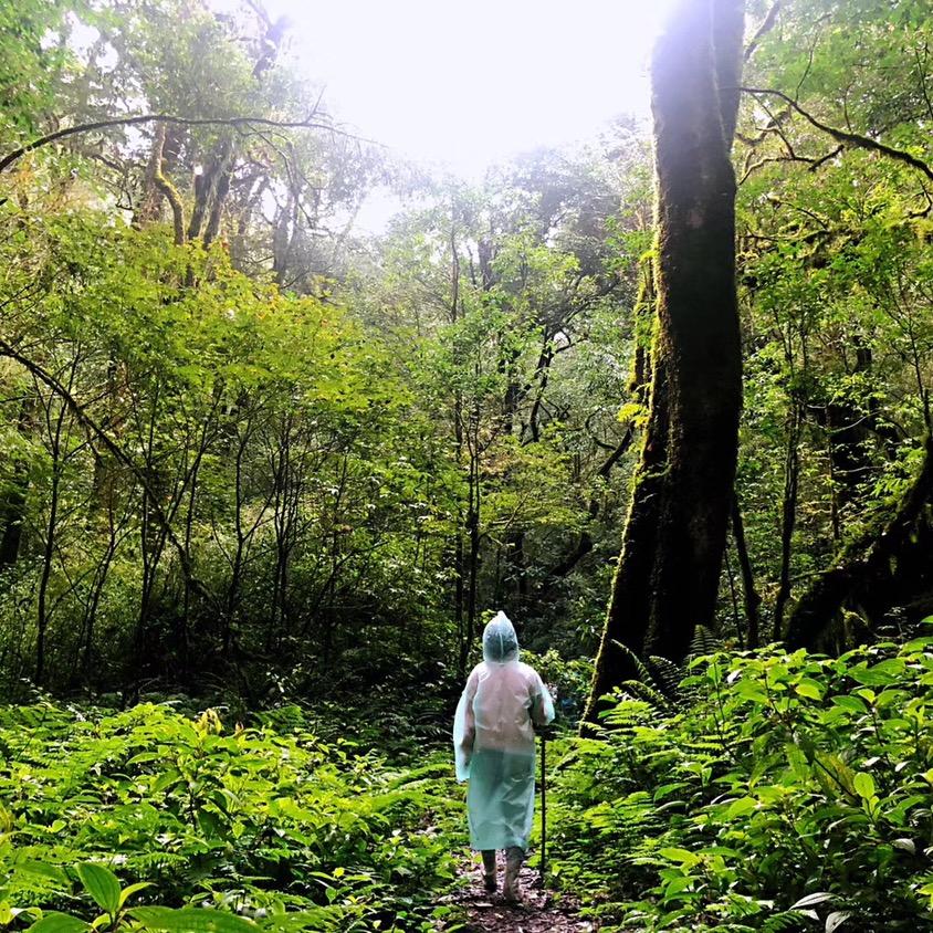 普洱逛吃玩攻略