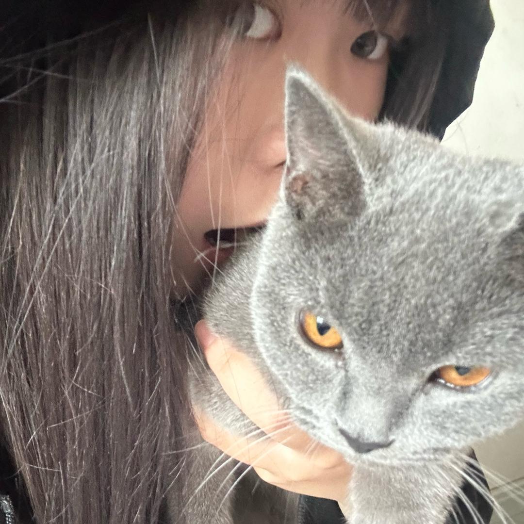 🌈🌈🌈🌈情的香菜