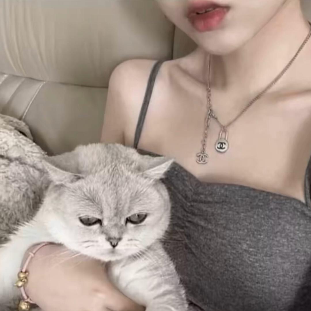 蝴蝶菲菲.🧚‍♀️