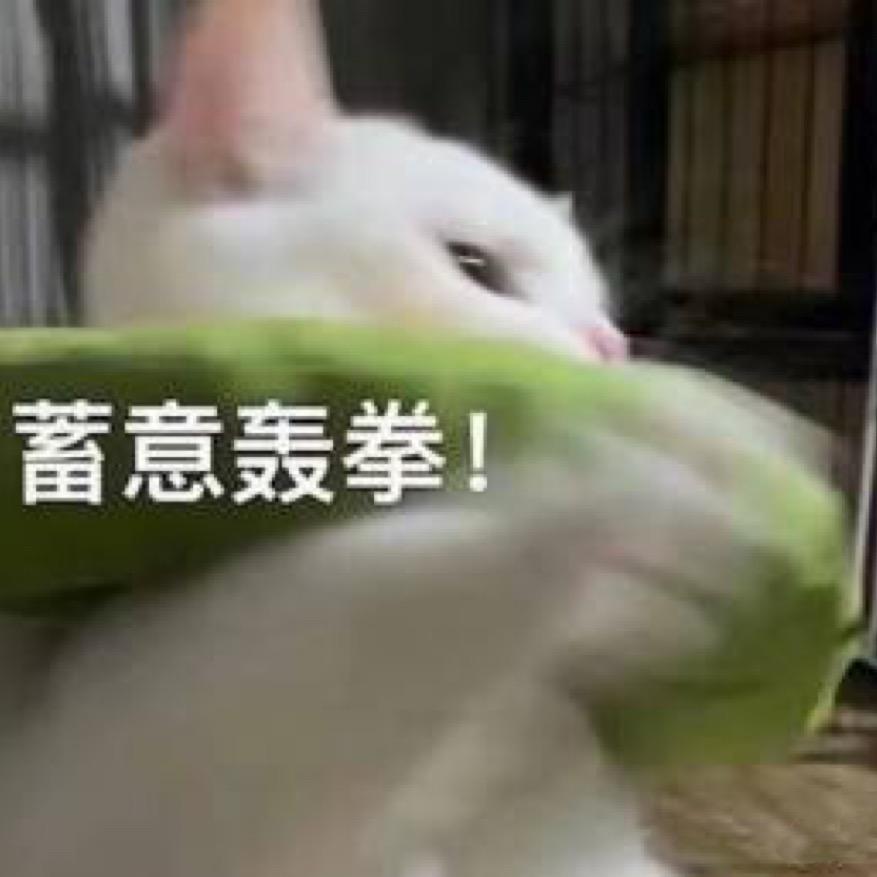 偏要勉强.