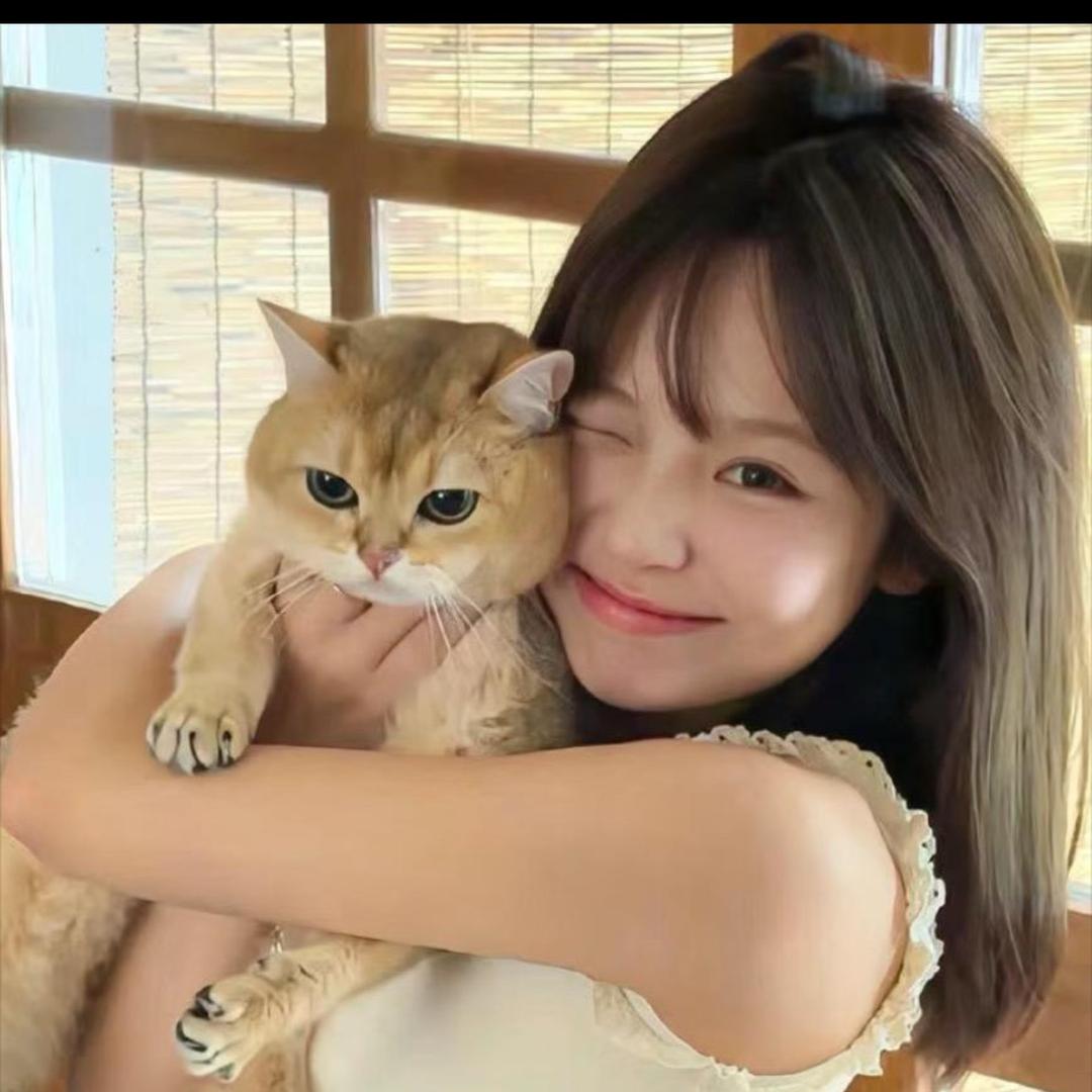 富贵猫灿尤